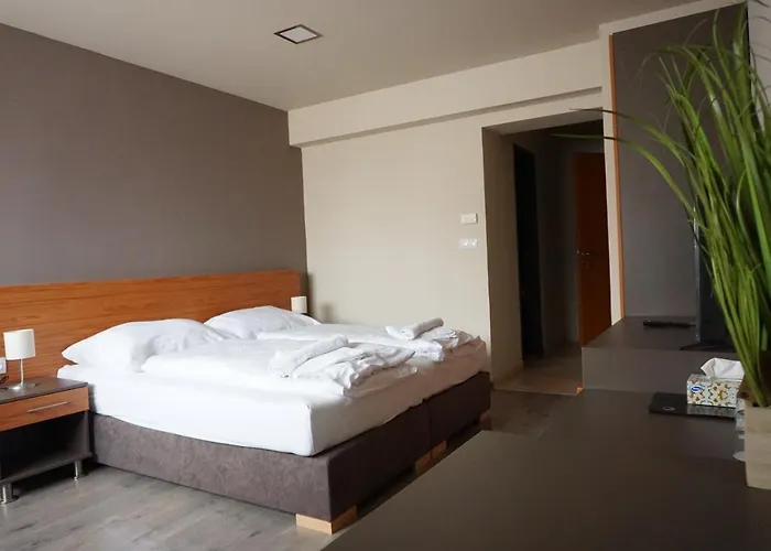 Bed and Breakfast Centro Panzio Zalaegerszeg